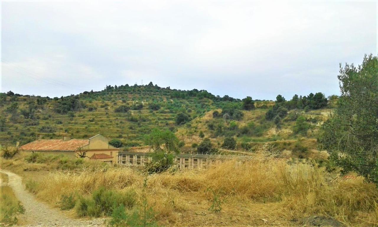 דירות Rocafort de Vallbona Cal Pablo מראה חיצוני תמונה